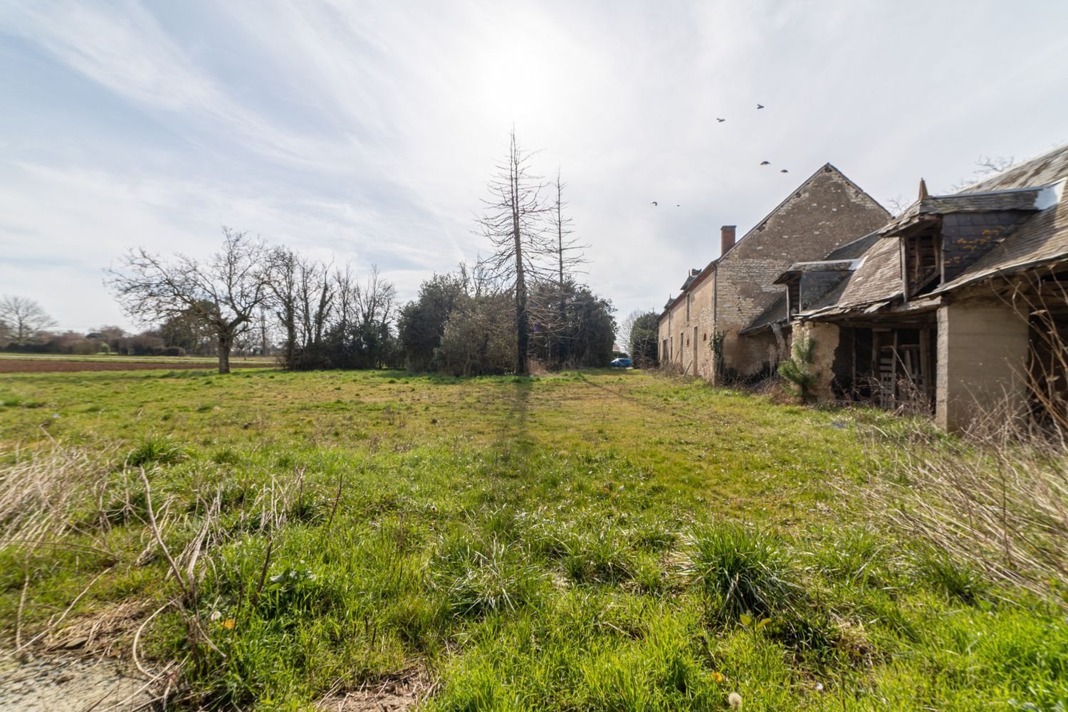 Maison à vendre, 190m², Issoudun