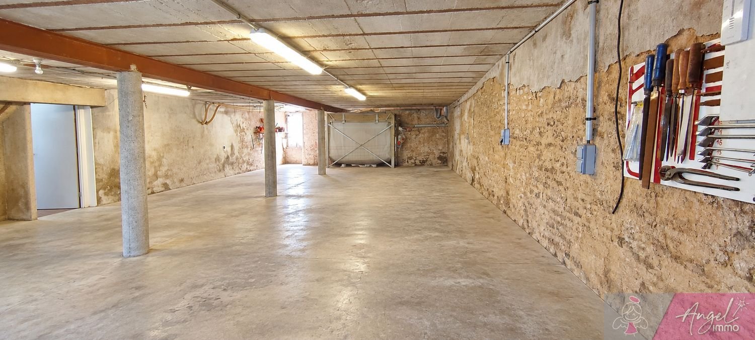 Maison à vendre, 245m², Eclans-Nenon