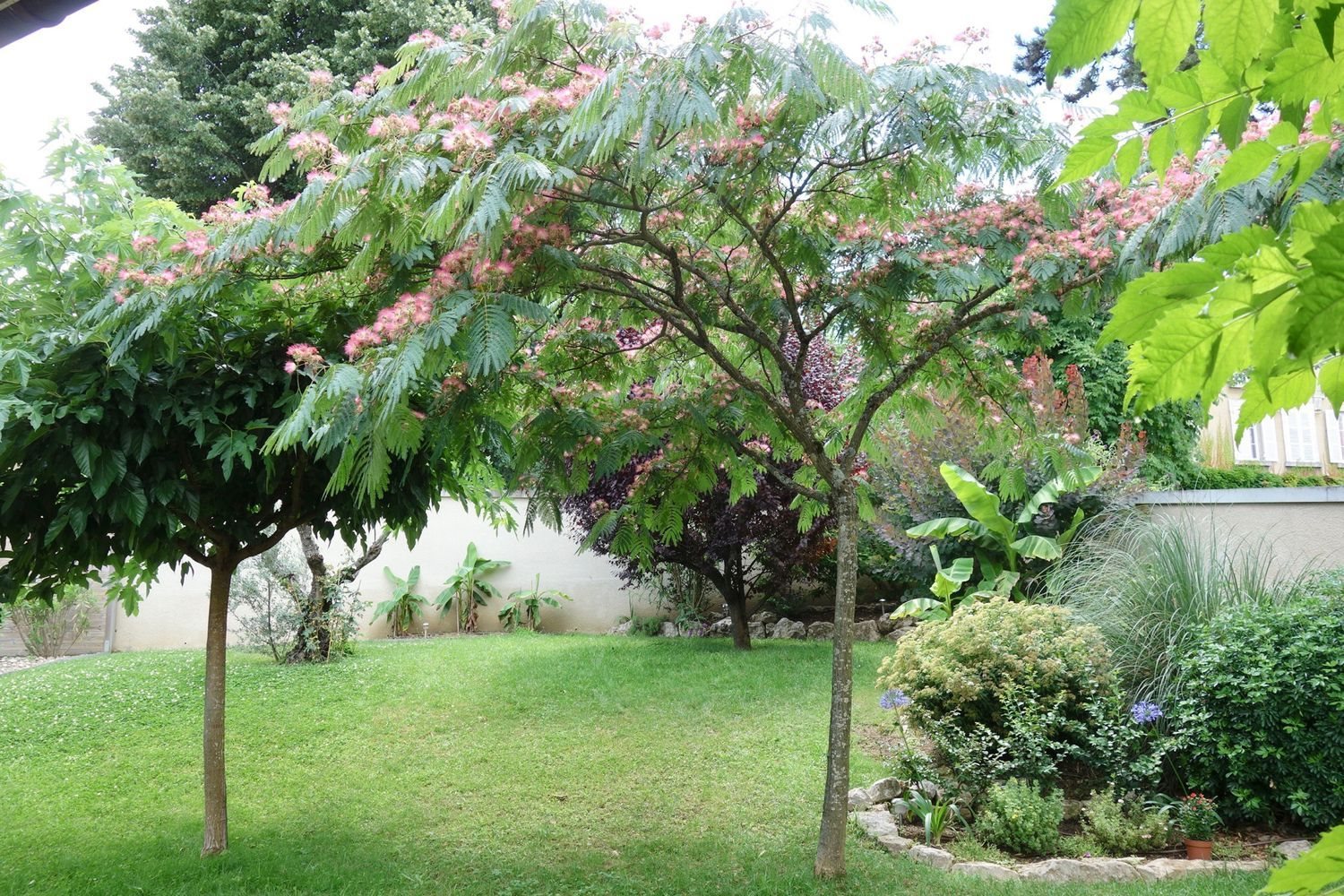 Maison à vendre, 234m², Sainte-Foy-lès-Lyon