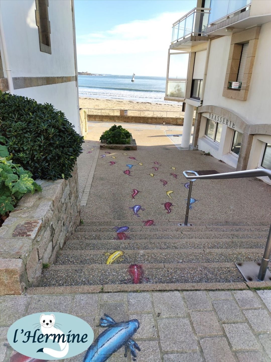 Appartement à vendre, 23m², Quiberon