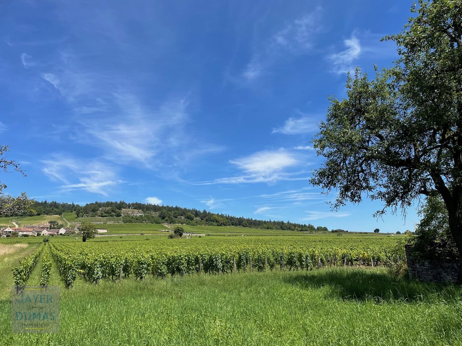Maison à vendre, 185m², Mercurey
