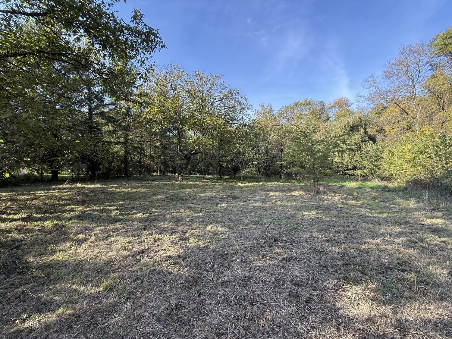 Maison à vendre, 174m², La Ferté-Imbault