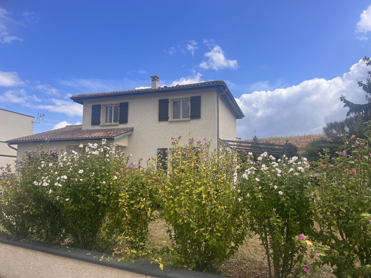 Maison à vendre, 105m², Frans