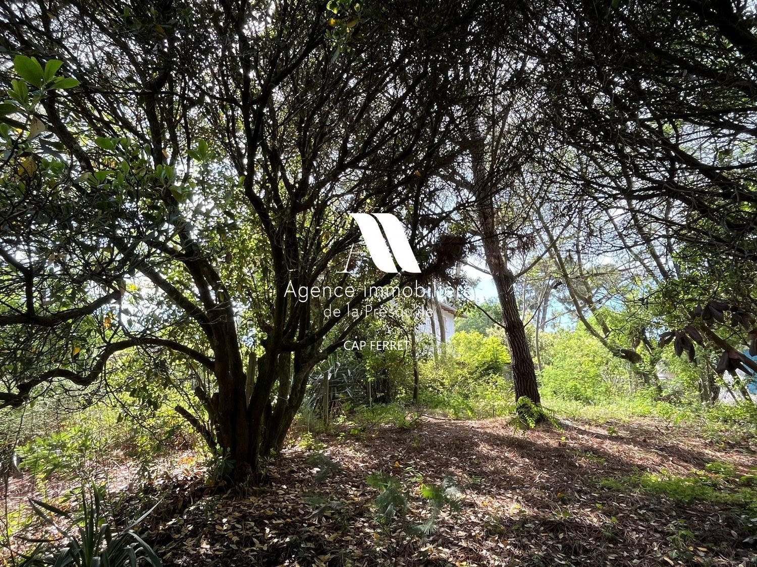 Maison à vendre, 75m², Lège-Cap-Ferret
