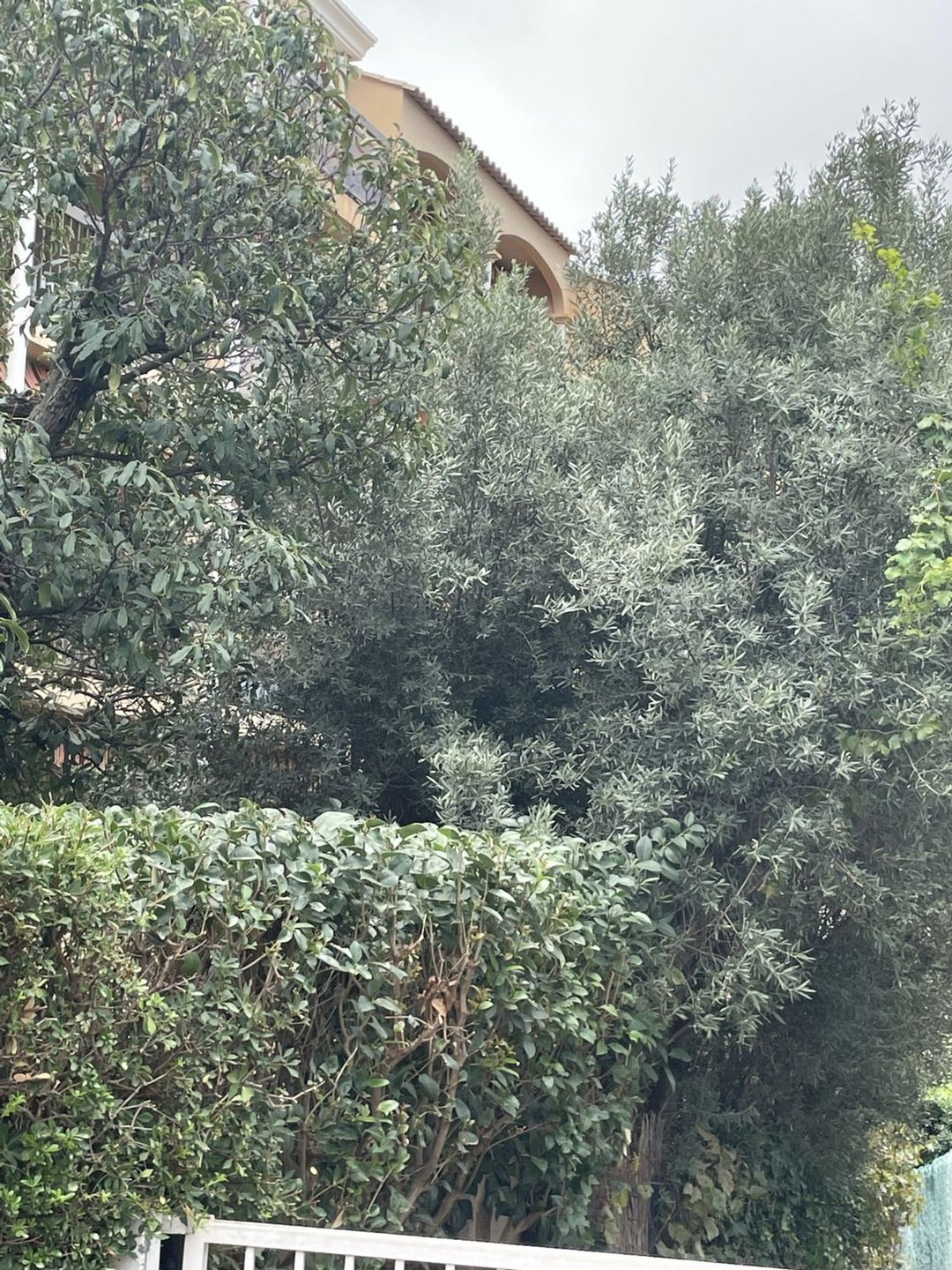 Appartement à vendre, 67m², Hyères