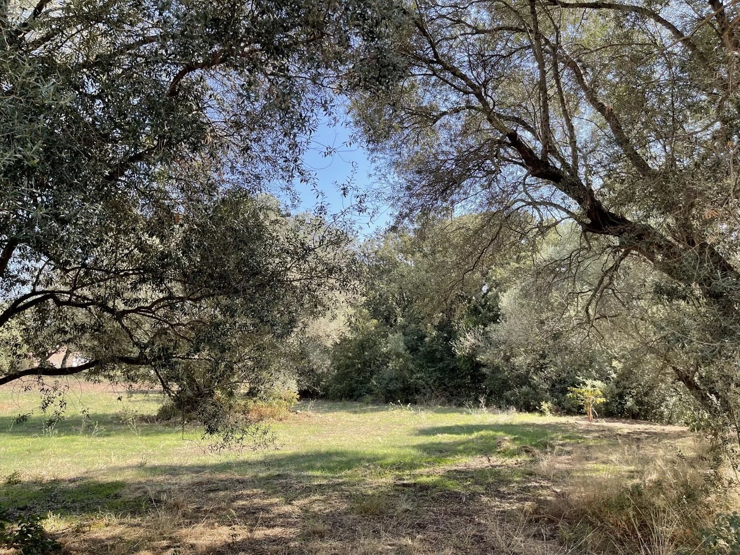 Maison à vendre, 55m², Porto-Vecchio