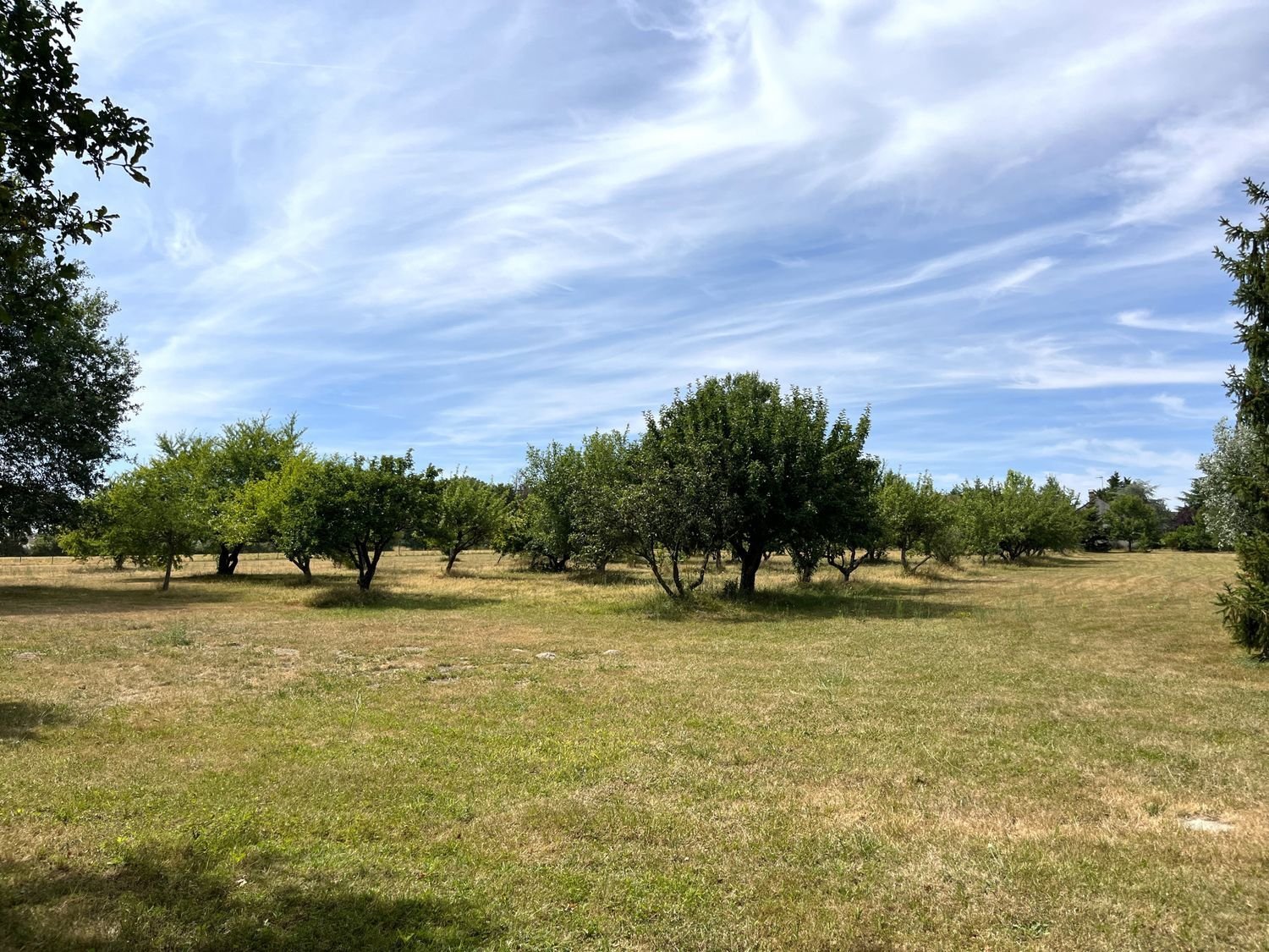 Maison à vendre, 185m², Lorris