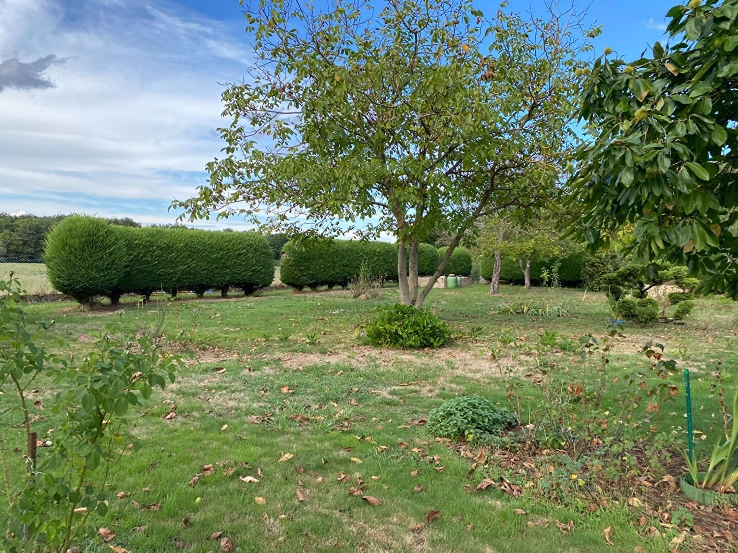 Maison à vendre, 138m², Saint-Pierre-les-Étieux
