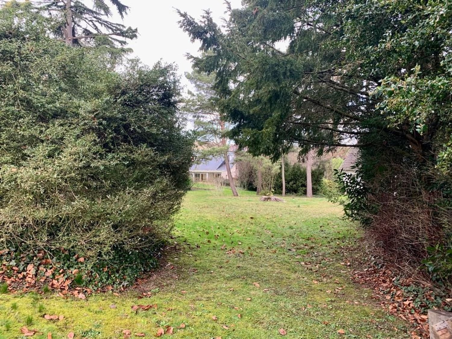 Maison à vendre, 260m², Ville-d'Avray