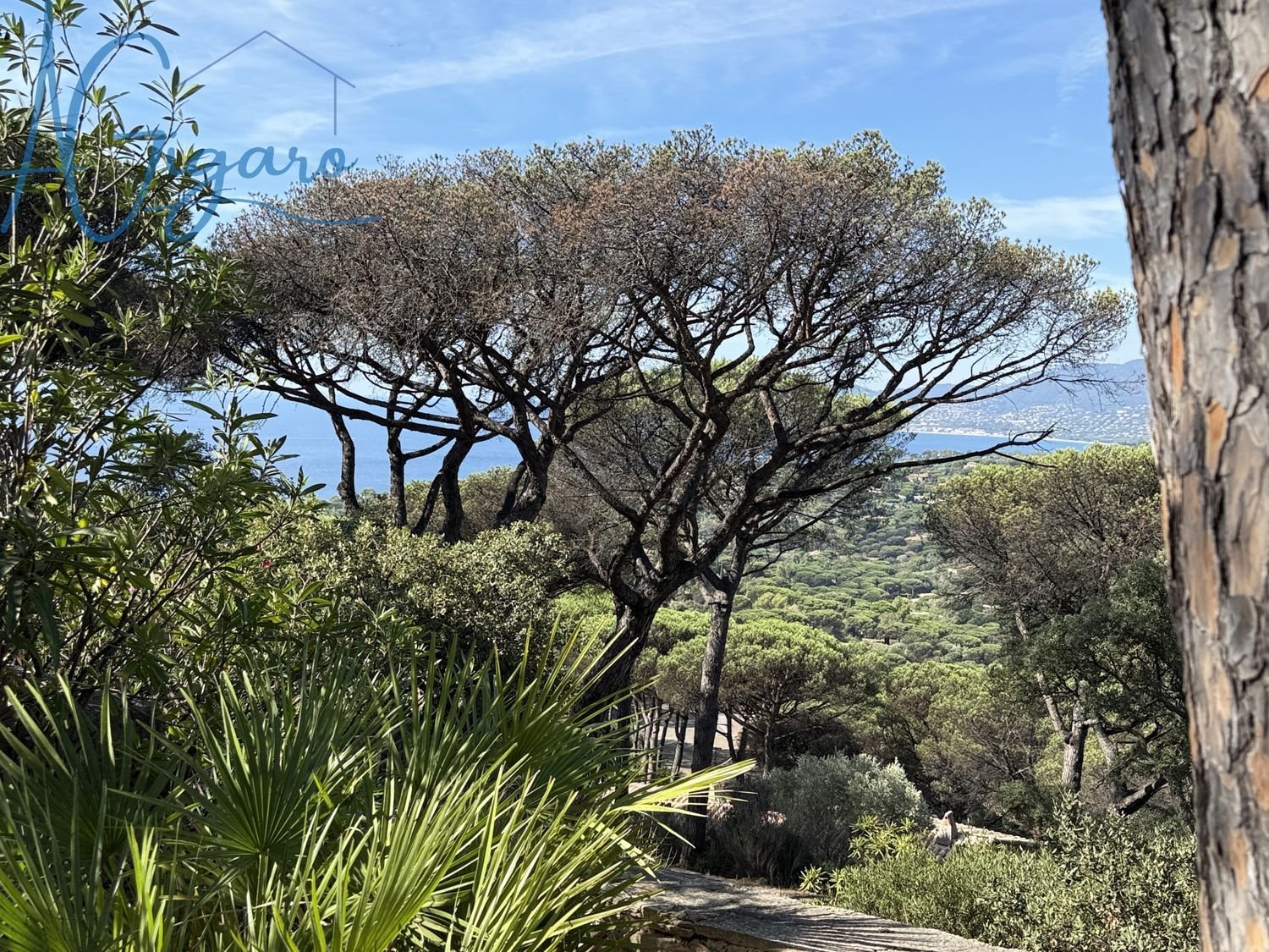 Maison à vendre, 52m², La Croix-Valmer