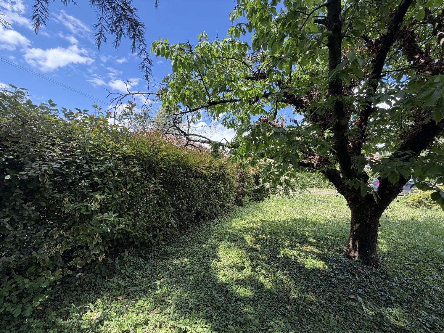 Maison à louer, 96m², Serrières