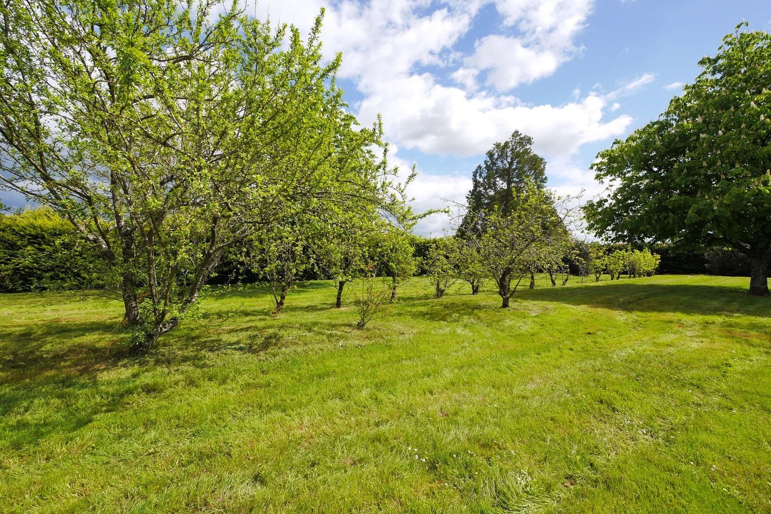 Maison à vendre, 185m², Montjean-sur-Loire
