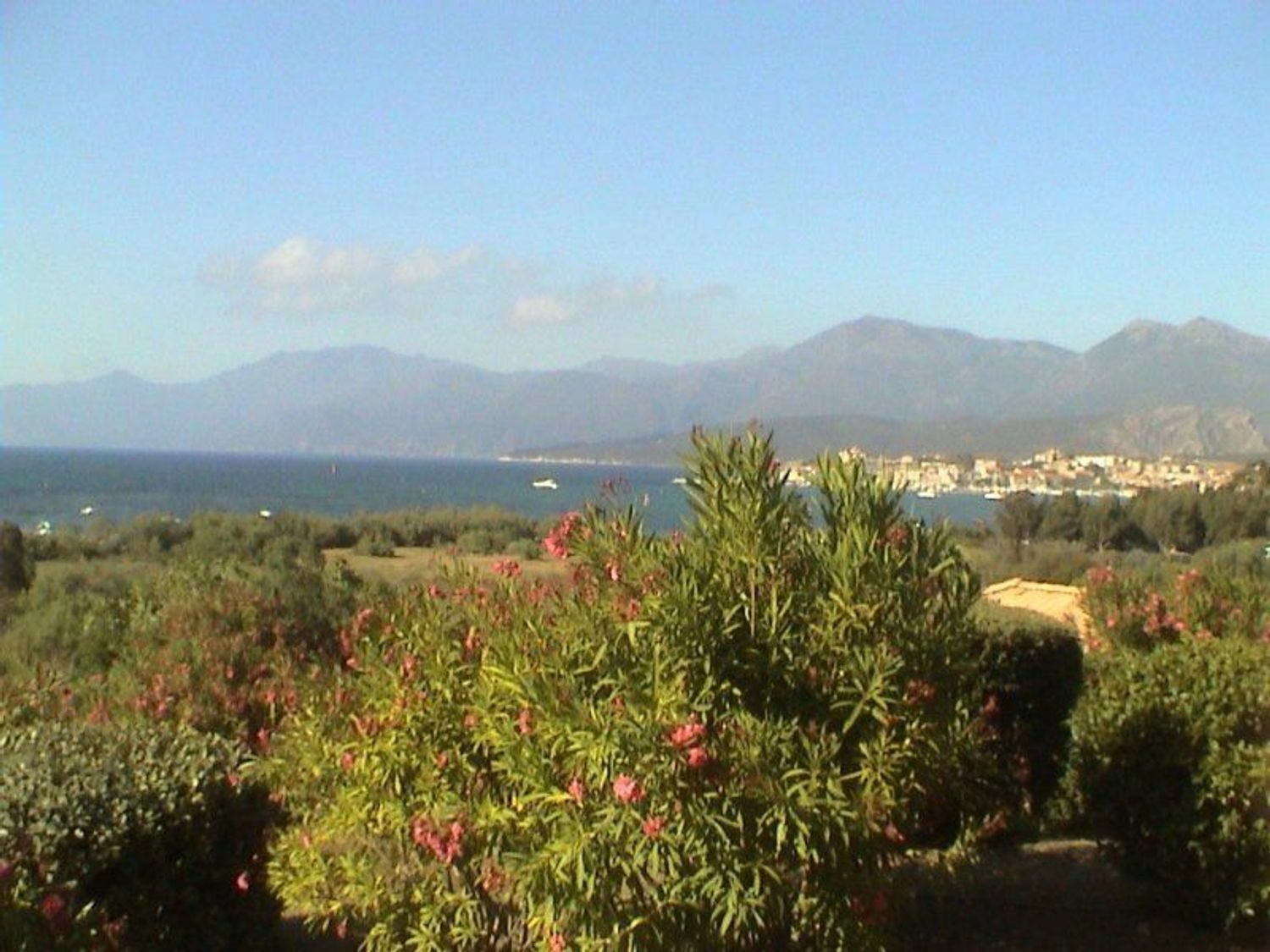 Appartement à louer, 11m², Saint-Florent
