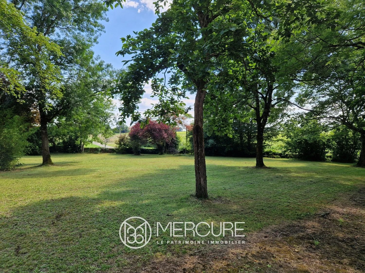 Maison à vendre, 550m², Bourg