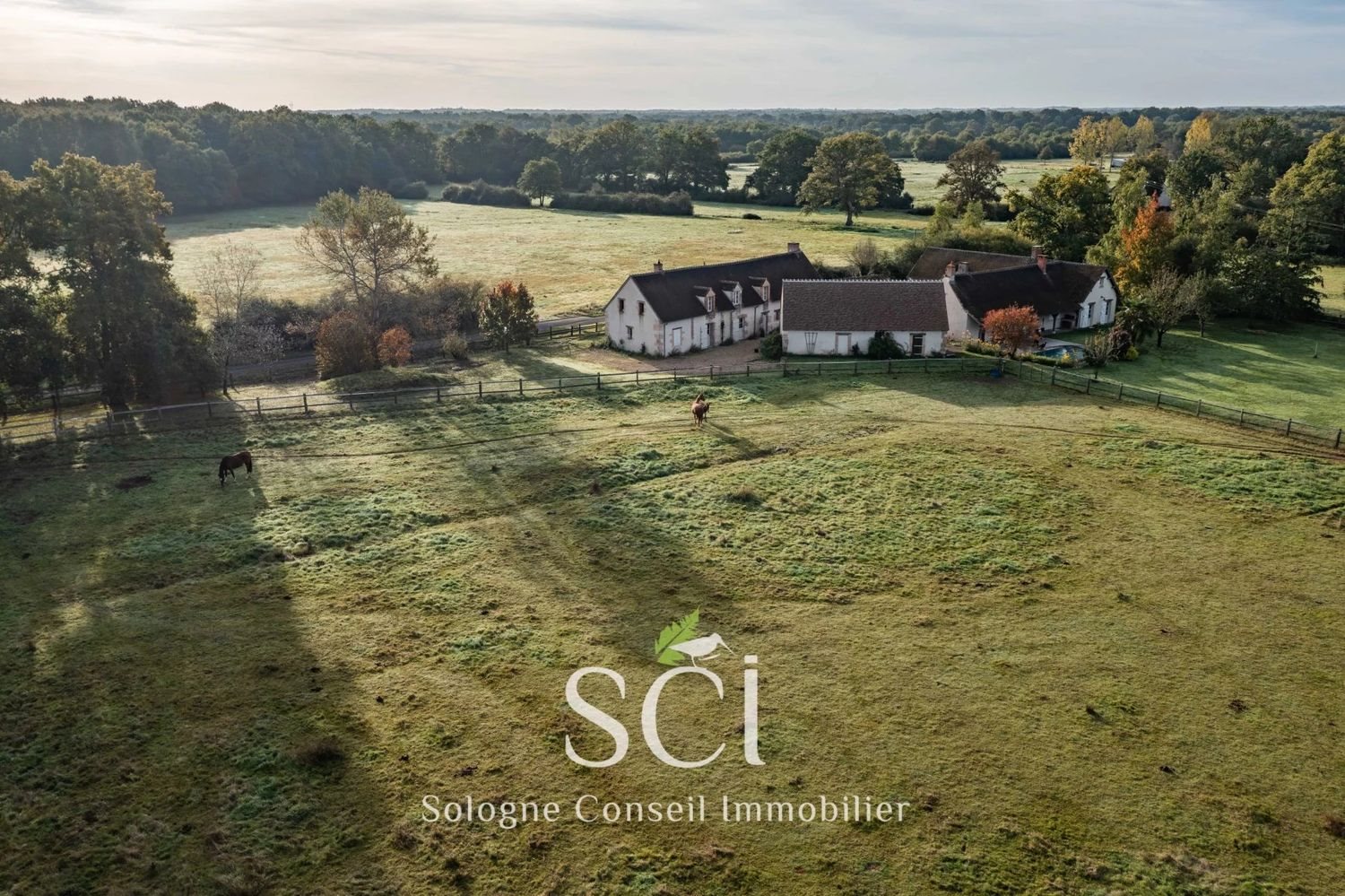 Maison à vendre, 381m², Sully-sur-Loire