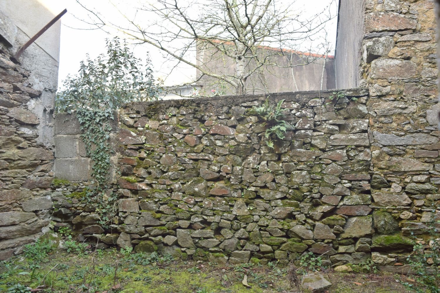 Maison à vendre, 64m², Geneston