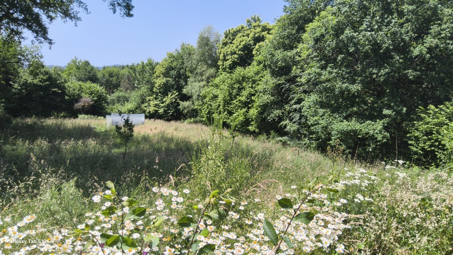 Maison à vendre, 116m², Domps