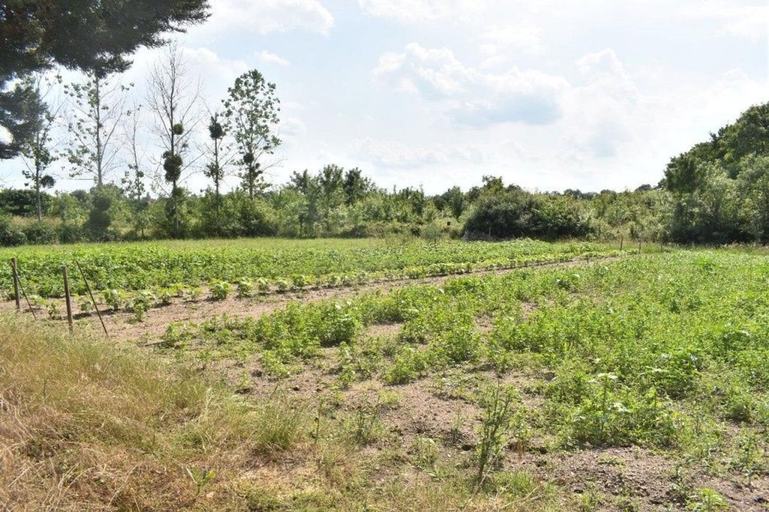 Maison à vendre, 83m², Saint-Lumine-de-Clisson