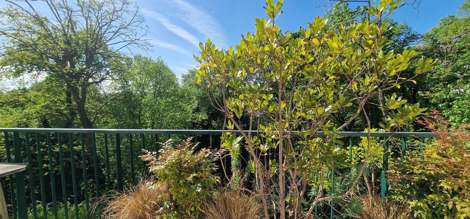 Appartement à vendre, 108m², Ville-d'Avray