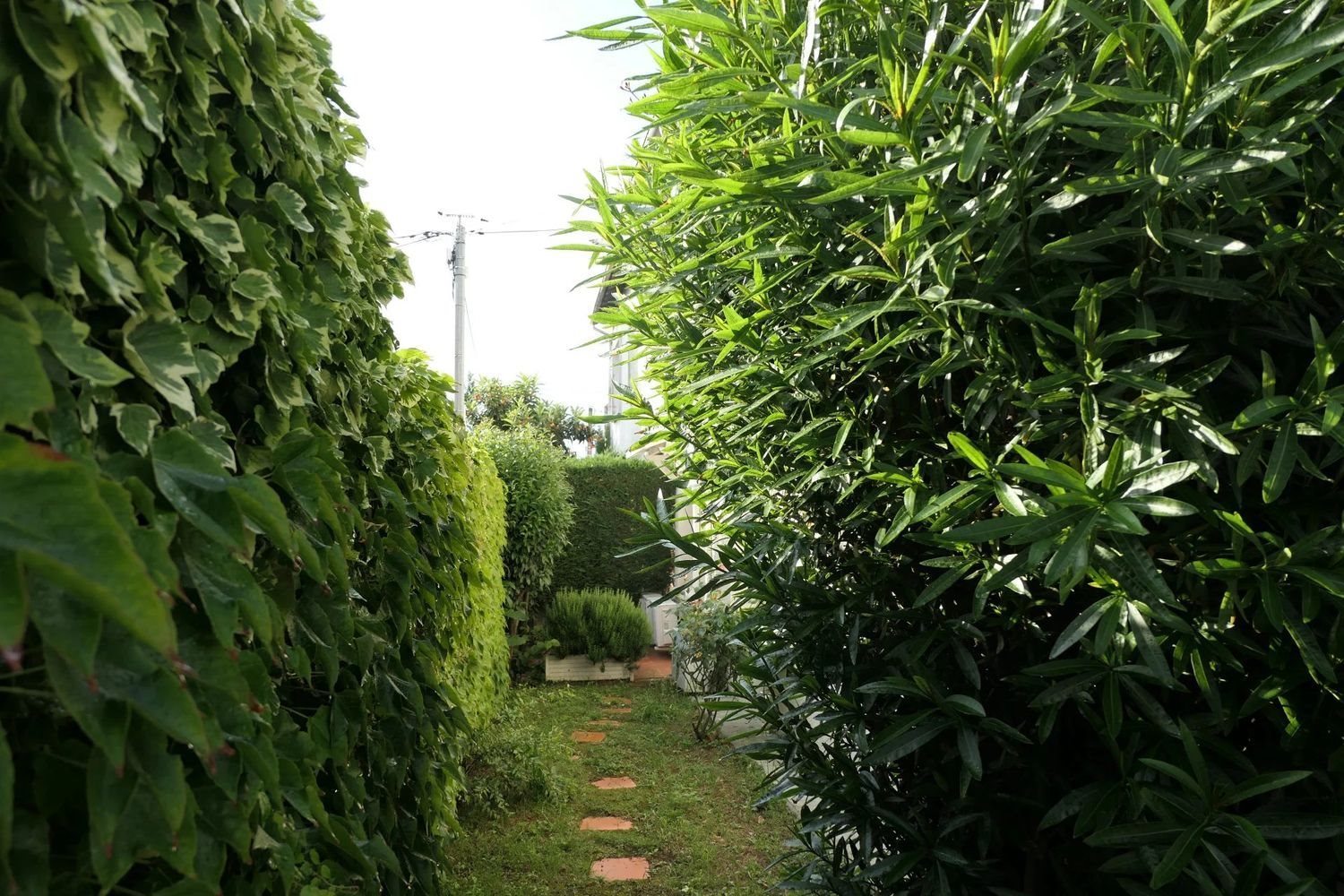 Maison à vendre, 11m², Toulouse