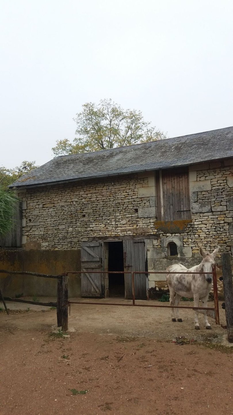 Maison à vendre, 245m², Saint-Jean-de-Sauves