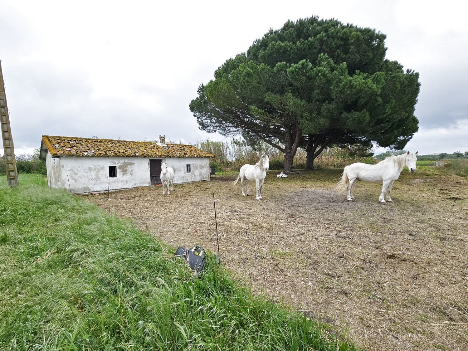 Maison à vendre, 50m², Vauvert