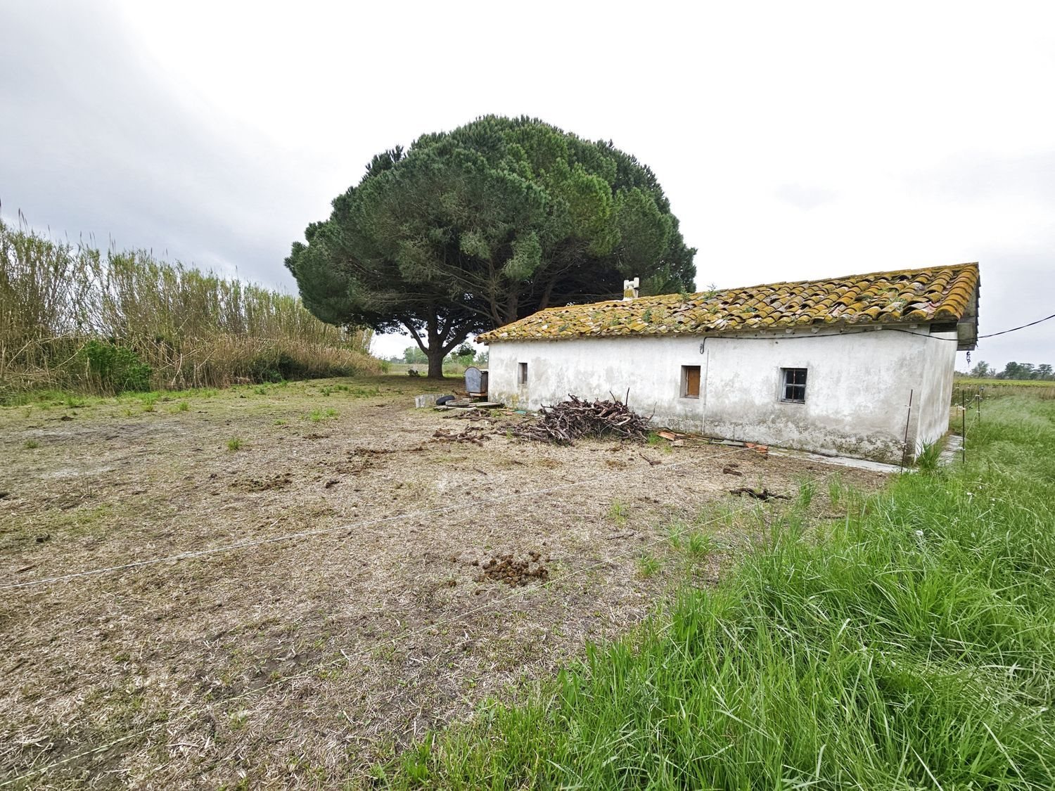 Maison à vendre, 50m², Vauvert