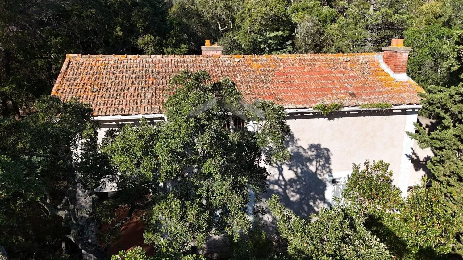 Maison à vendre, 100m², Zonza