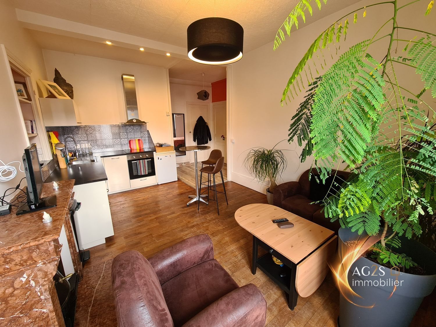 Appartement à vendre, 41m², Grenoble