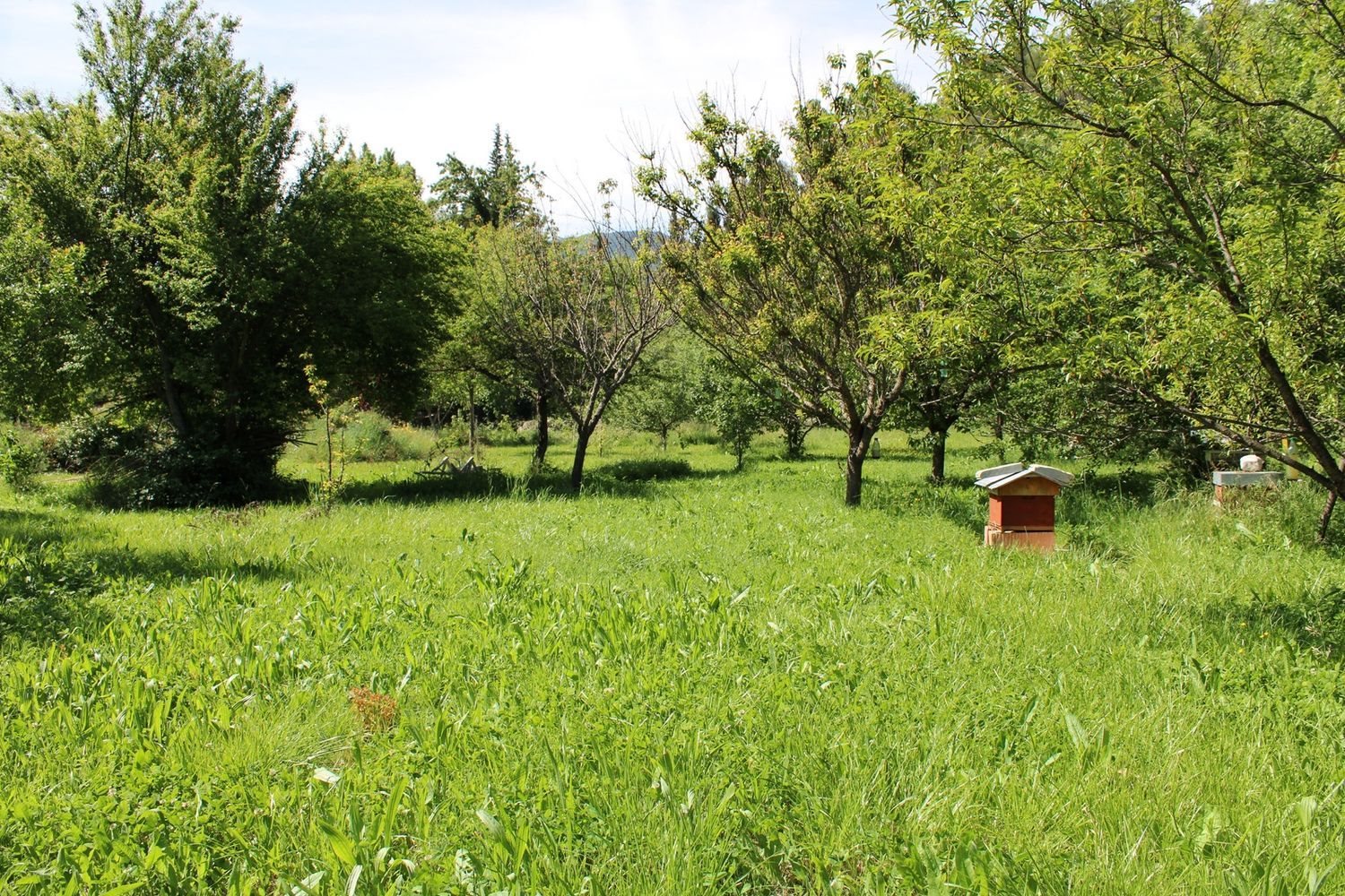 Maison à vendre, 80m², Buis-les-Baronnies