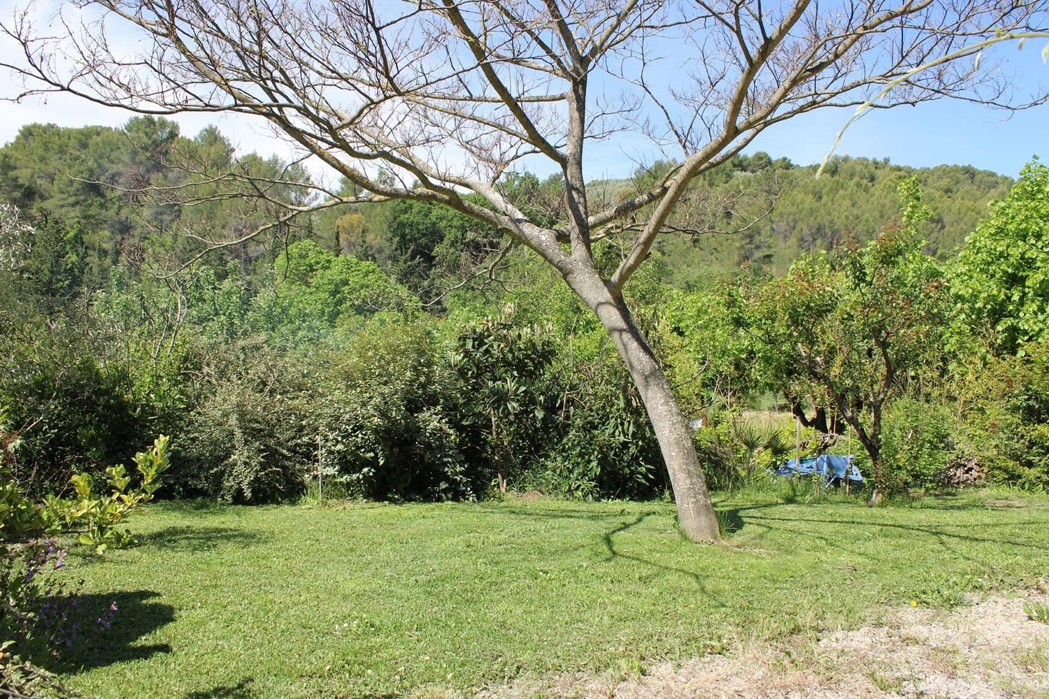 Maison à vendre, 80m², Buis-les-Baronnies