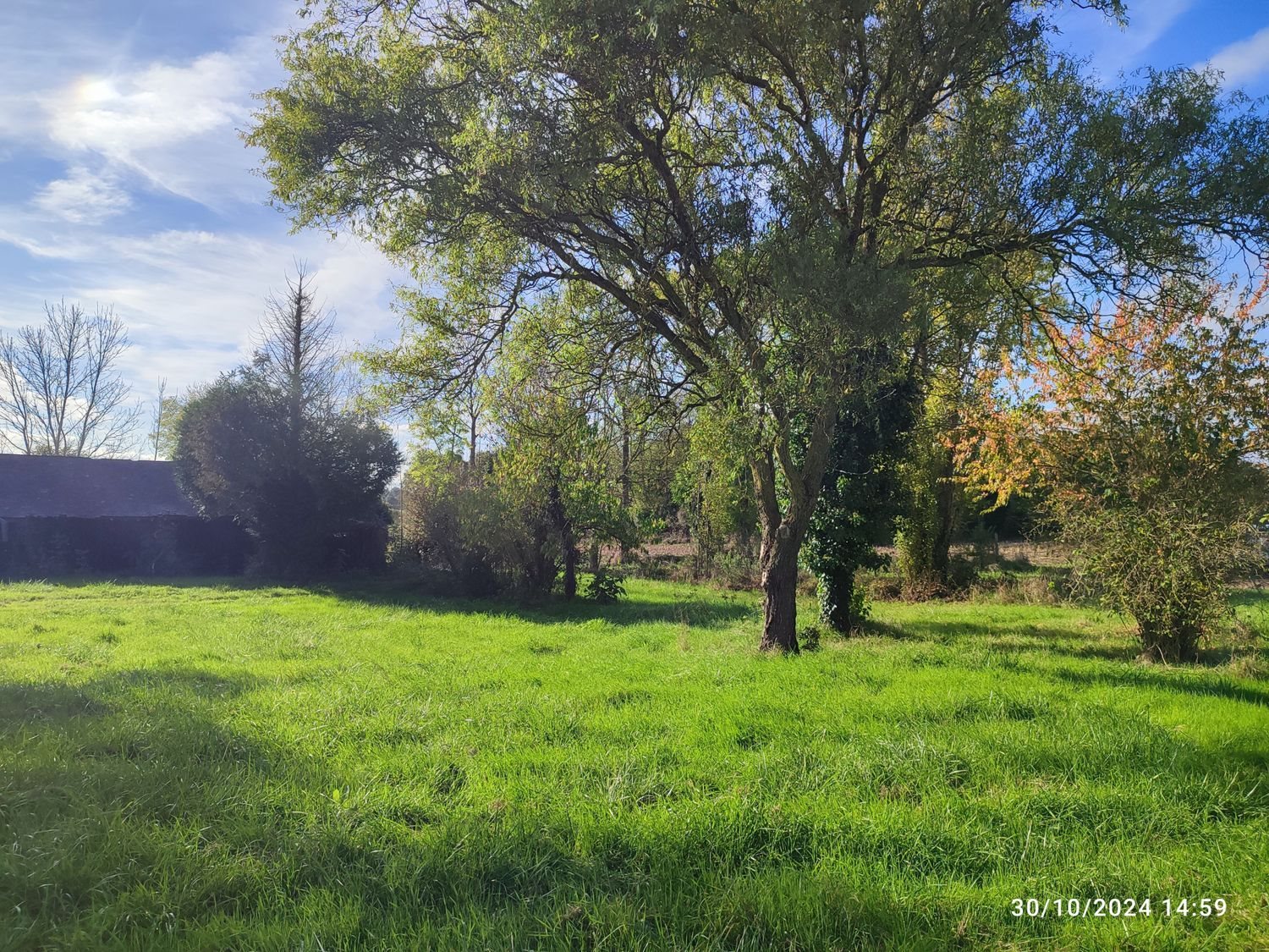 Maison à vendre, 300m², Montsûrs