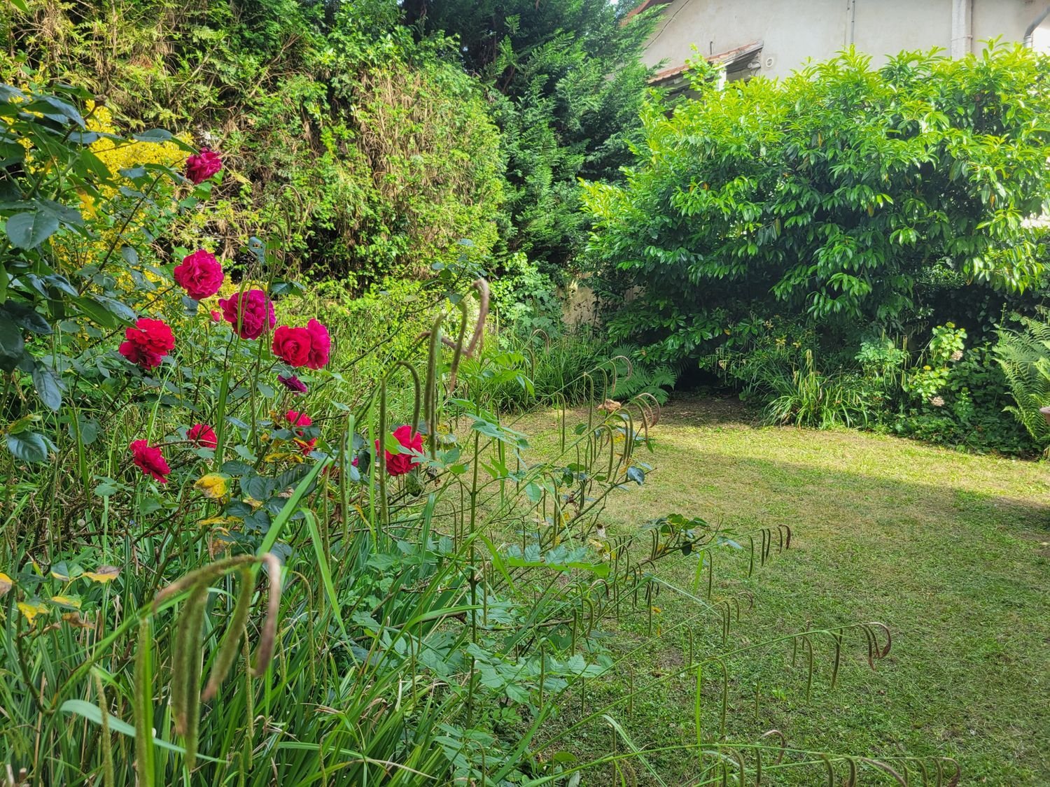 Maison à vendre, 90m², Viroflay