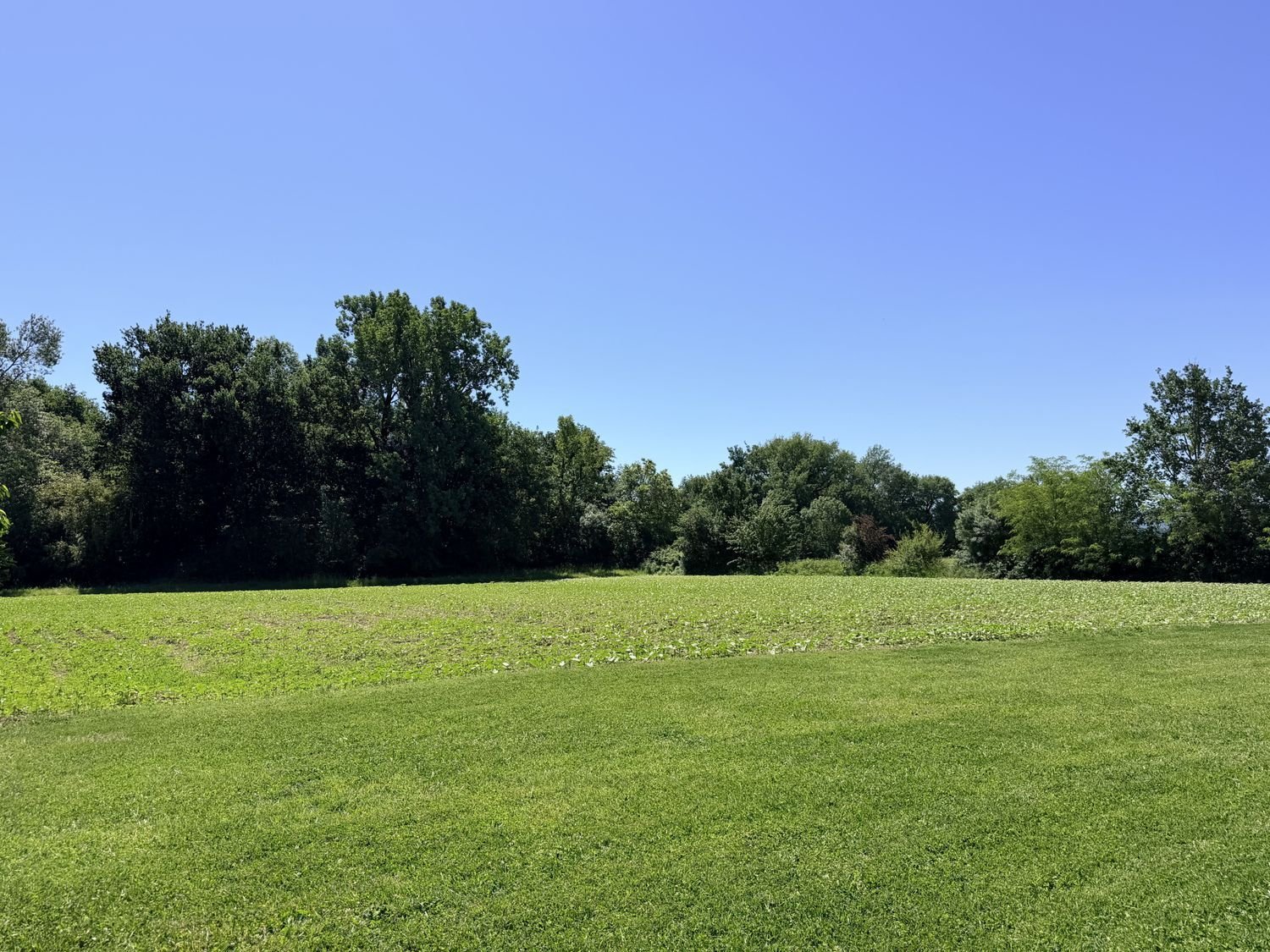 Maison à vendre, 278m², Revel