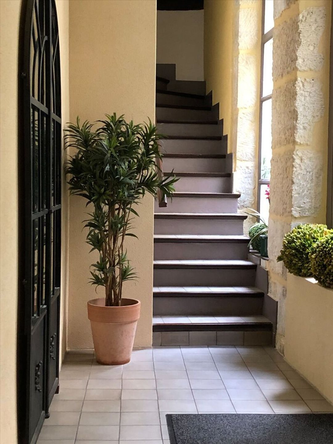 Appartement à louer, 24m², Saint-Germain-en-Laye