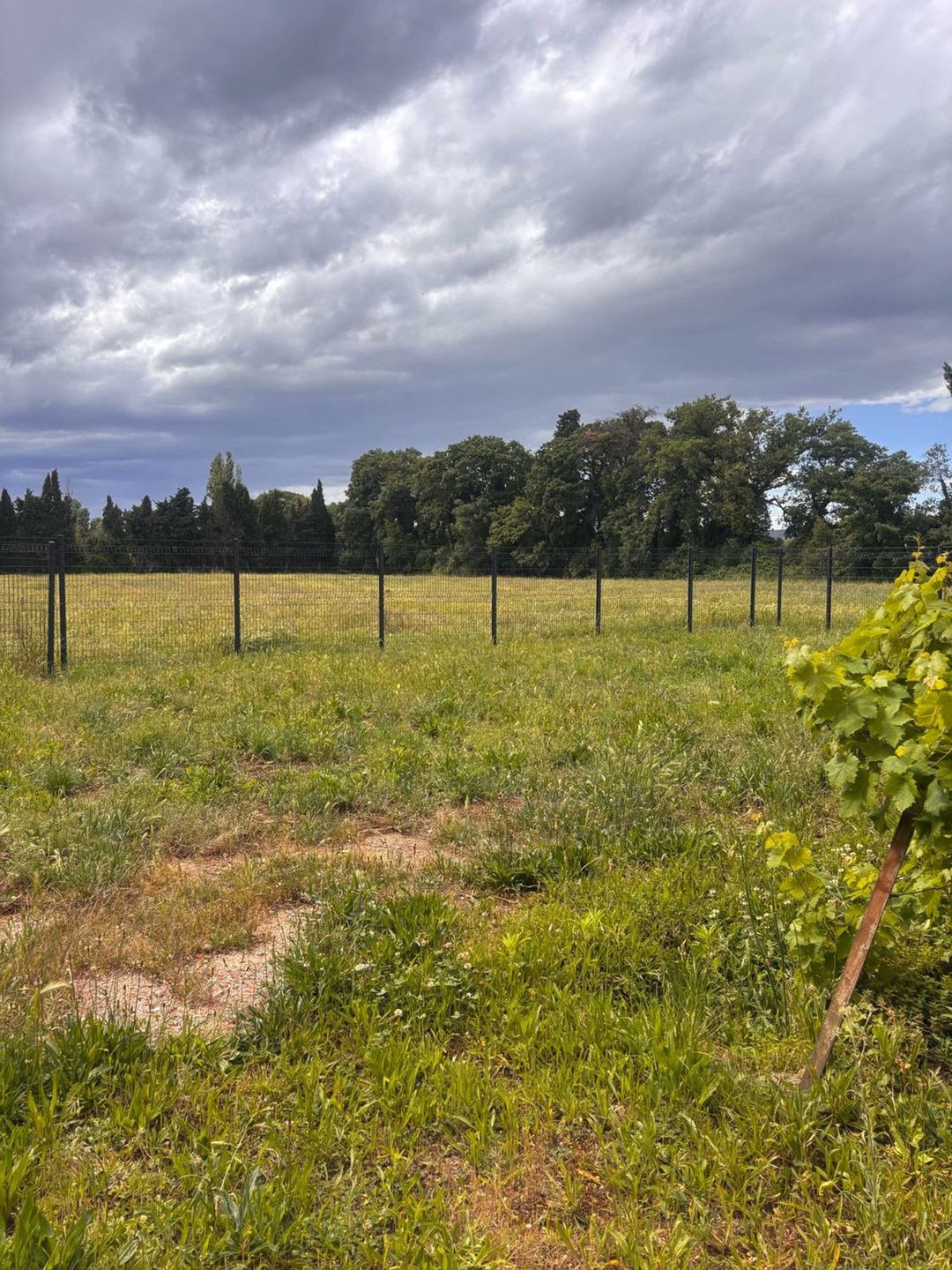 Maison à vendre, 170m², Corbère-les-Cabanes