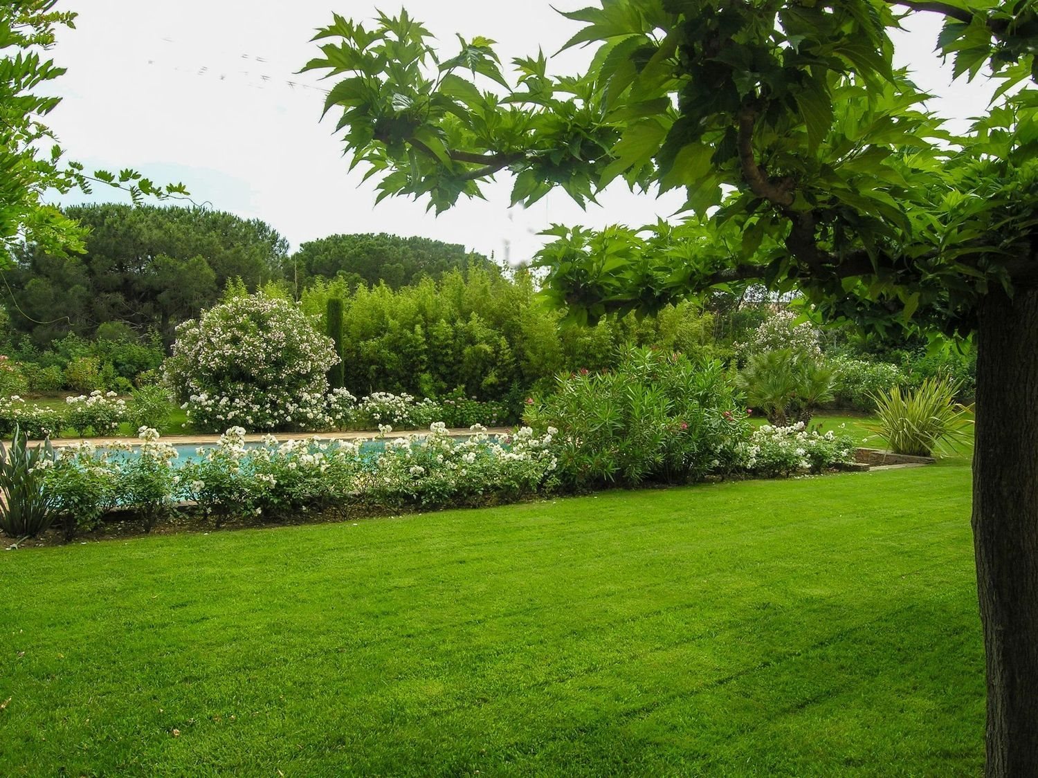 Maison à louer, 400m², Saint-Tropez