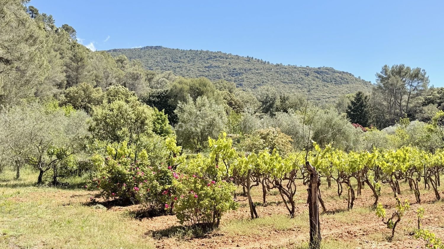 Maison à vendre, 177m², Signes