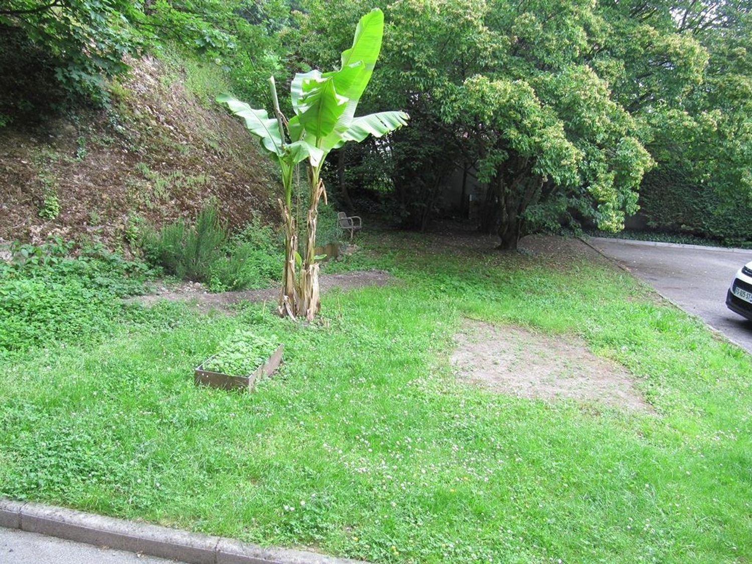 Appartement à louer, 28m², Saint-Didier-au-Mont-d'Or