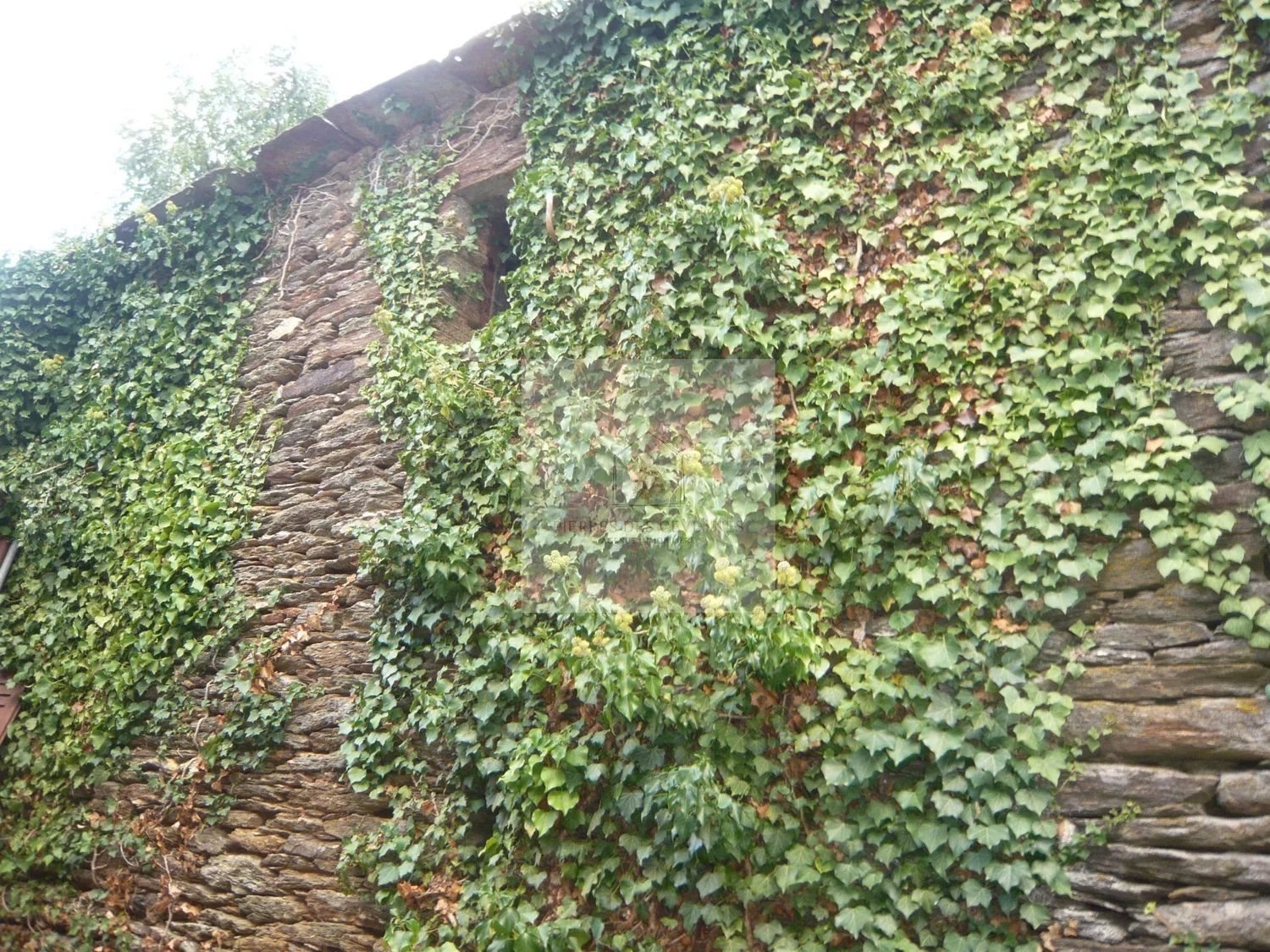 Maison à vendre, 100m², Le Collet-de-Dèze