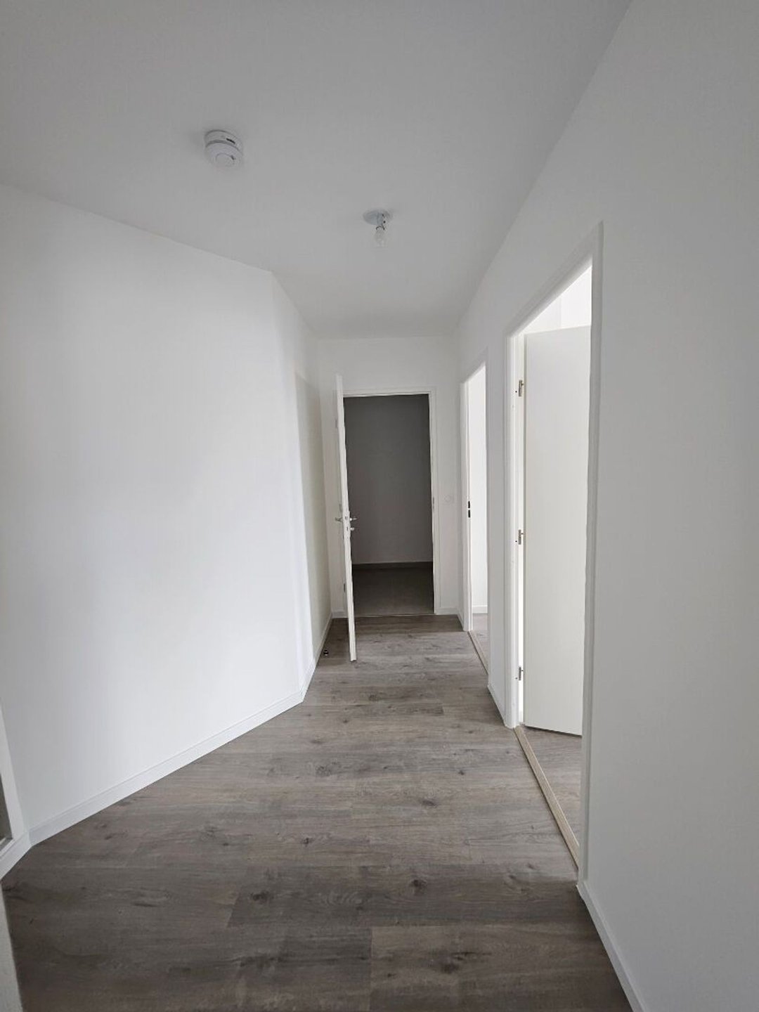 Appartement à louer, 67m², Le Perreux-sur-Marne