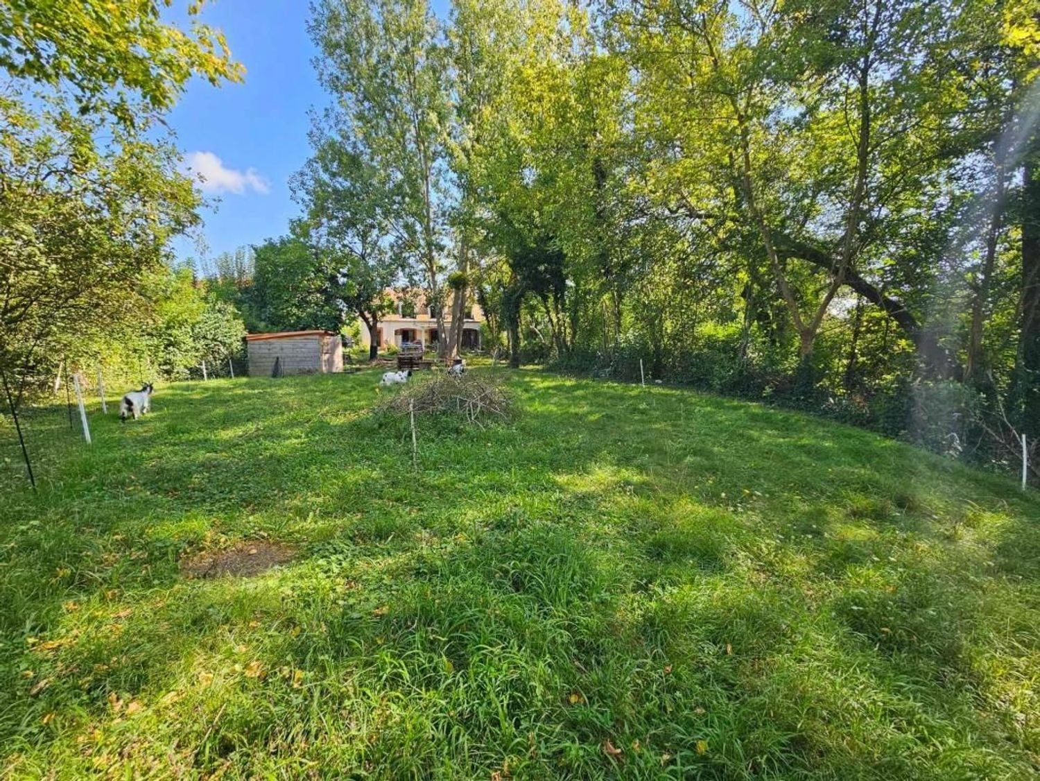 Maison à vendre, 169m², Saintry-sur-Seine