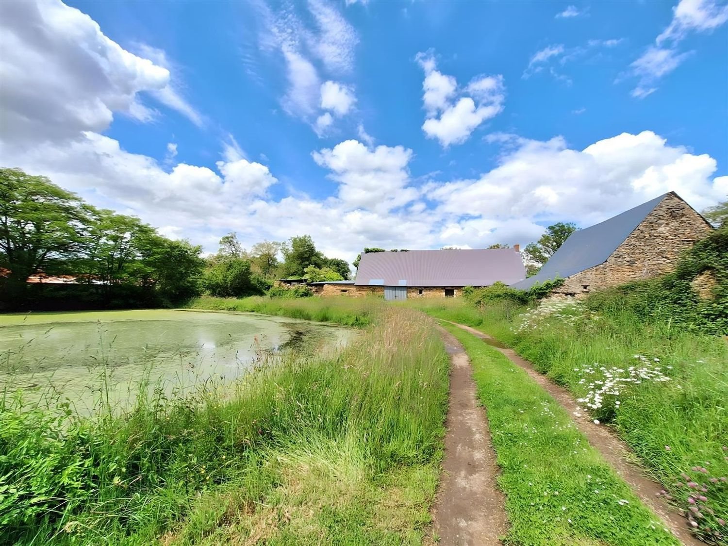 Maison à vendre, 179m², Segré