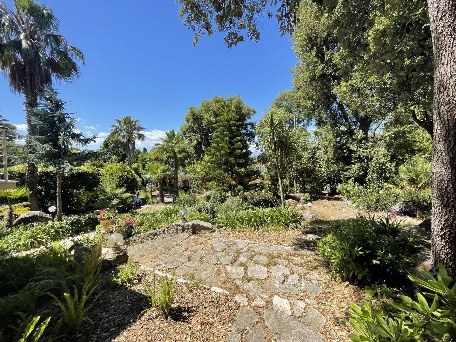 Maison à louer, 224m², Antibes