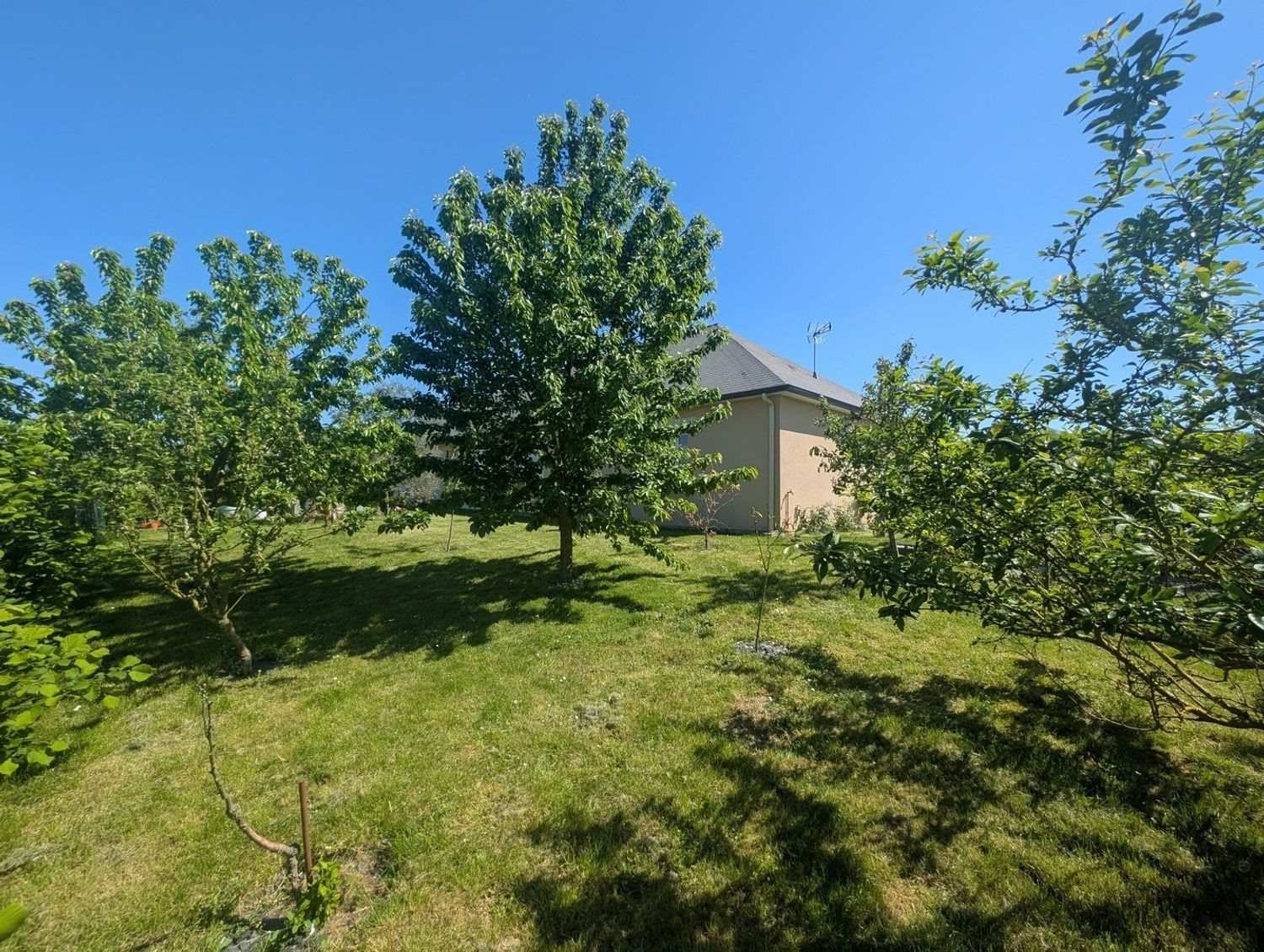 Maison à vendre, 177m², Doué-en-Anjou