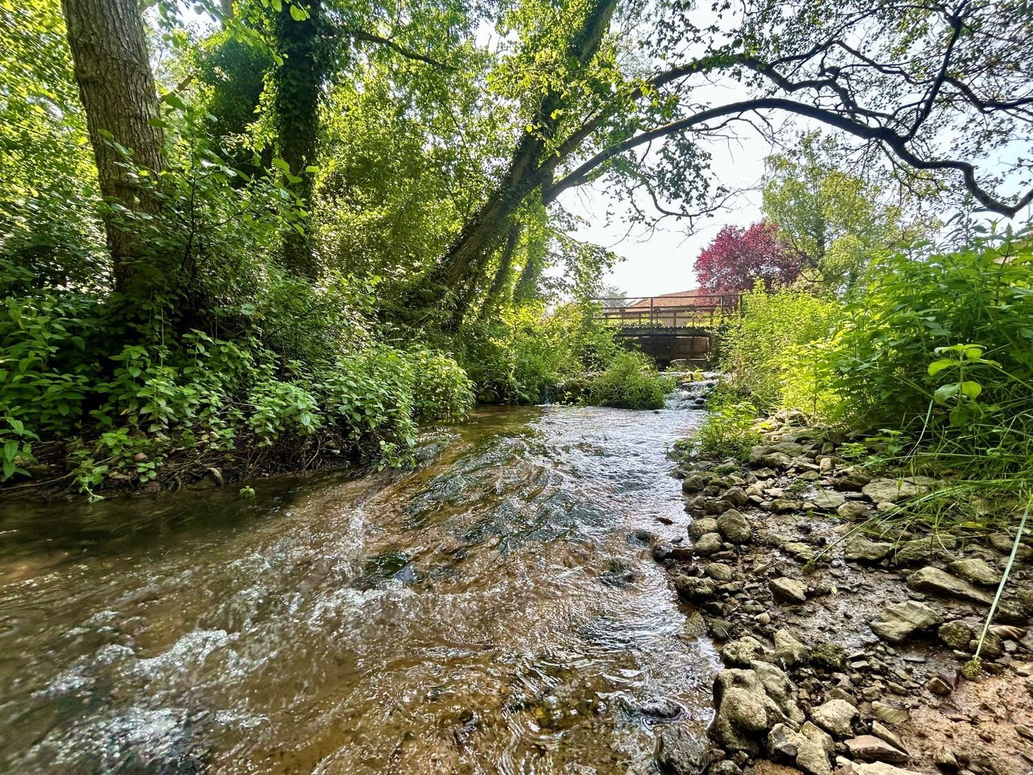 Maison à vendre, 325m², Valence-en-Poitou