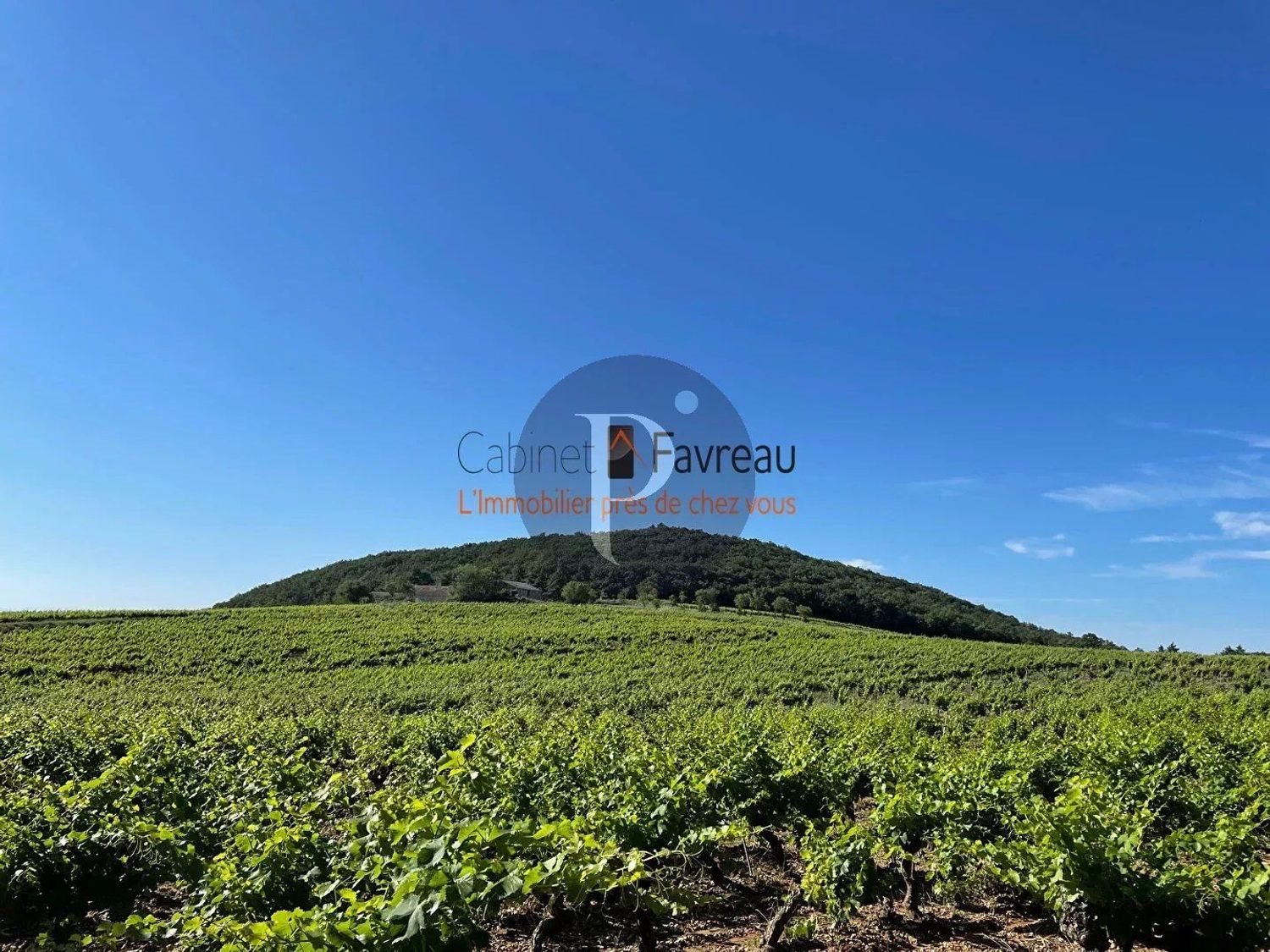 Maison à vendre, 610m², Saint-Michel-d'Euzet