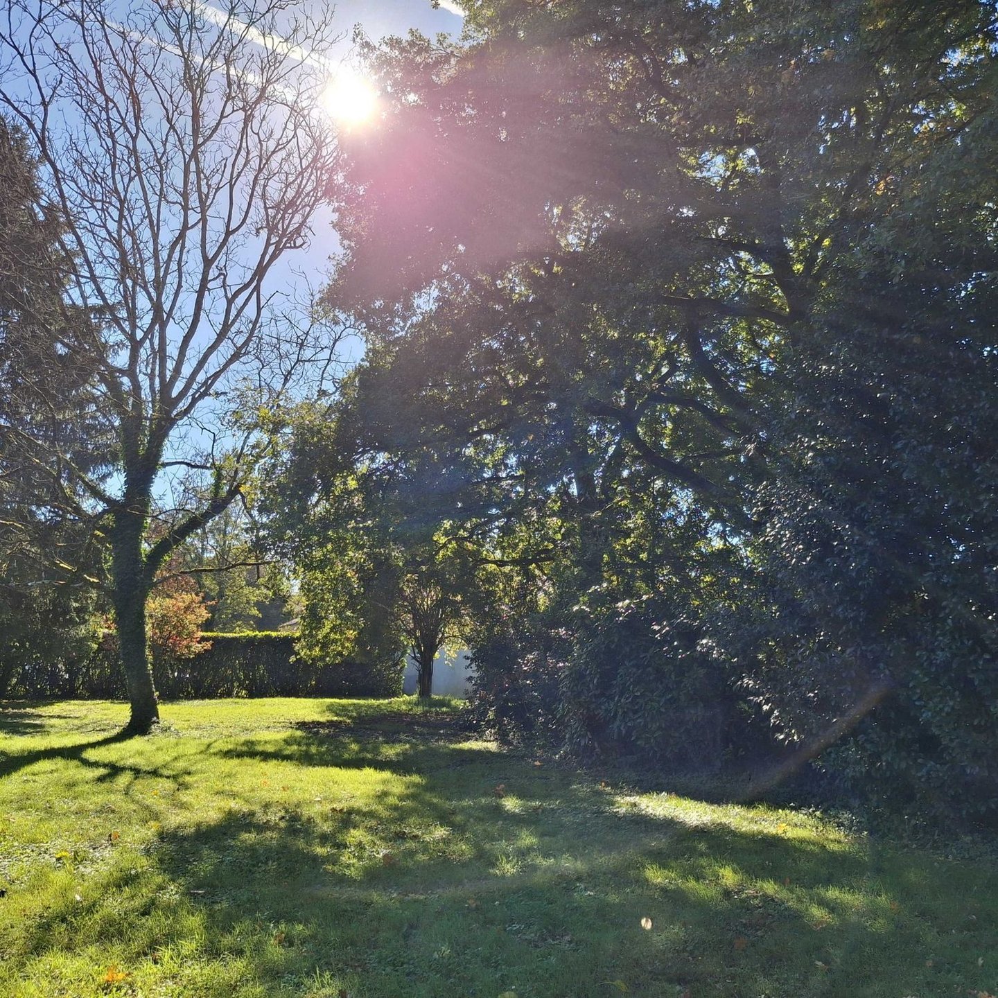 Maison à vendre, 197m², Saint-Mary