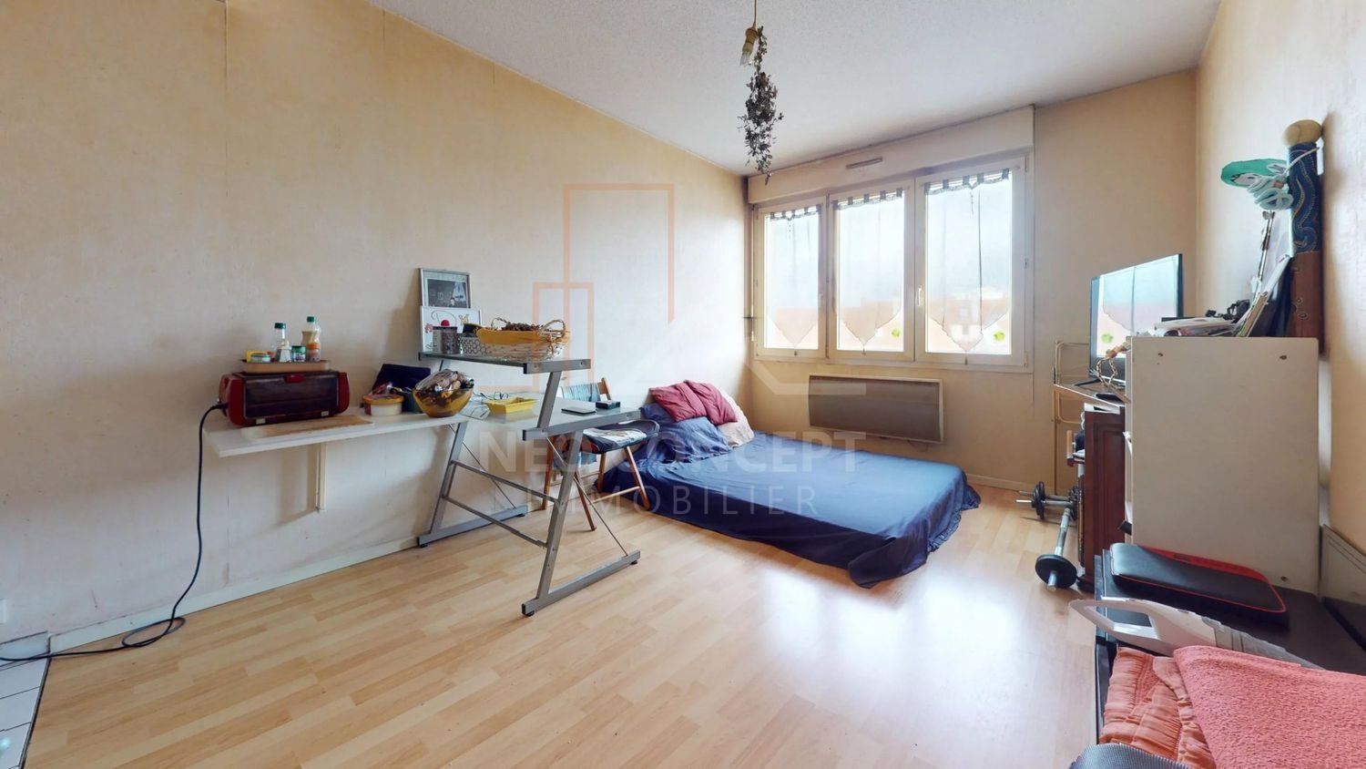 Appartement à vendre, 22m², Strasbourg