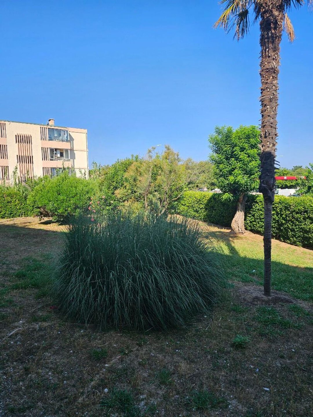Appartement à louer, 73m², Six-Fours-les-Plages